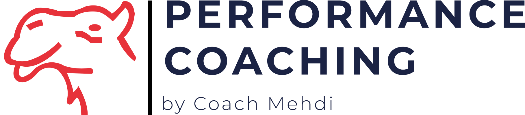 Performance Coaching