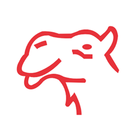 Performance Coaching